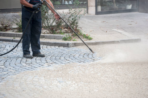 Best Driveway Pressure Washing  in Deridder, LA